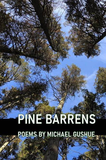 Pine Barrens by Michael Gushue Pine Barrens by Michael Gushue